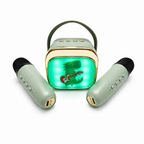 Kinder Karaoke Box mit zwei Mikrofonen und grner LEDBeleuchtung